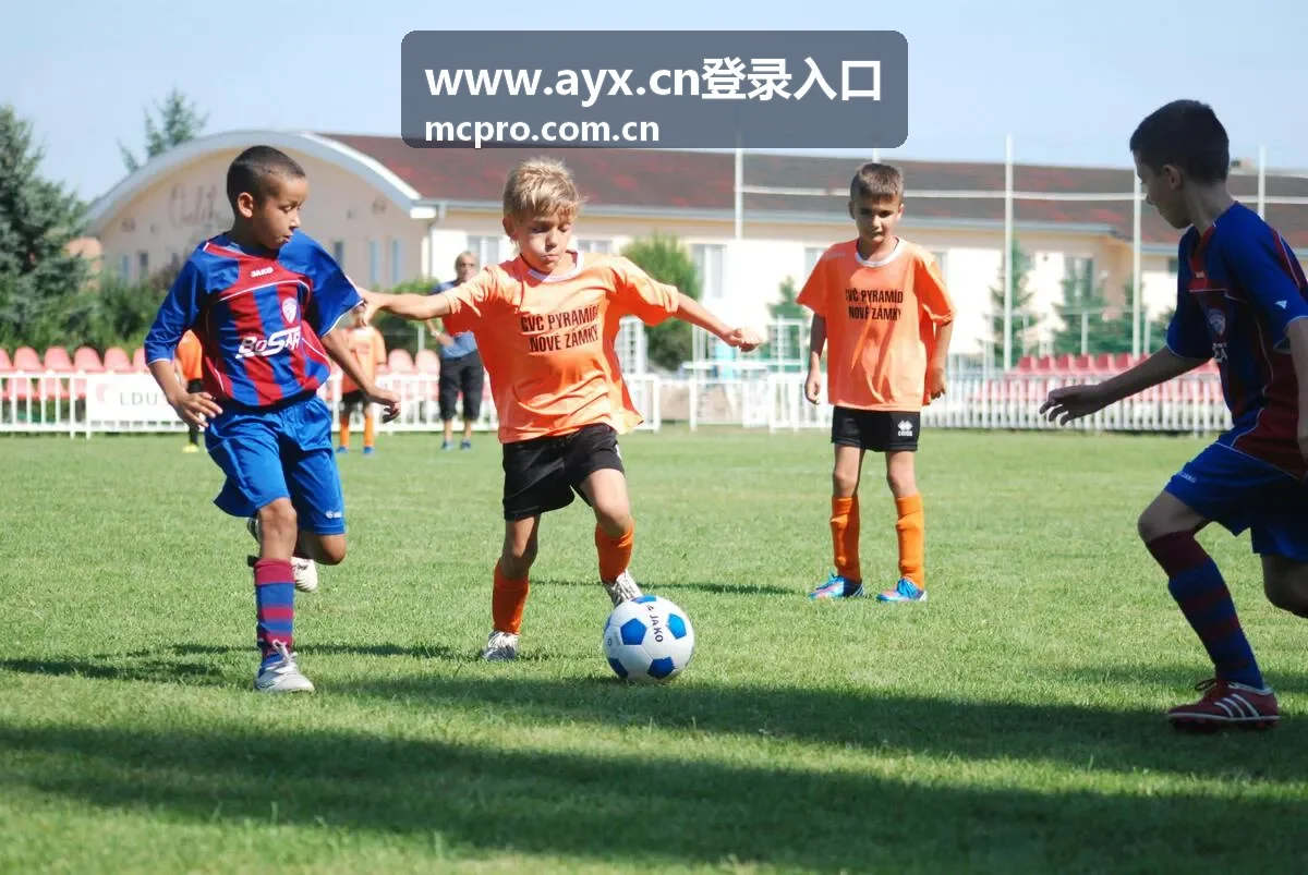 www.ayx.cn登录入口 合作伙伴权限管理场景